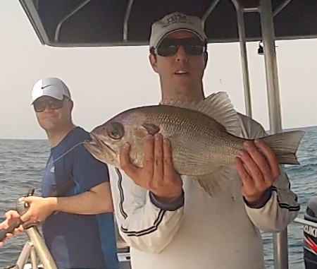 Incredible Fishing Charters Pearl Perch - Scarborough QLD