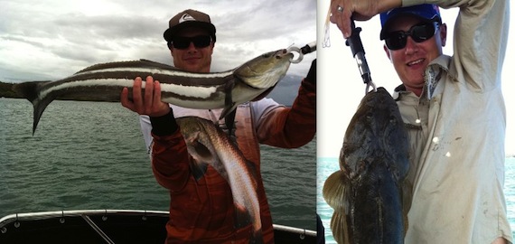Catch Moreton Bay Cobia, Flathead, Snapper and more