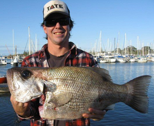 Moreton Island Fishing Charters